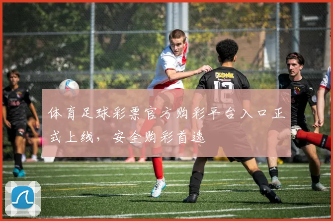 体育足球彩票官方购彩平台入口正式上线，安全购彩首选
